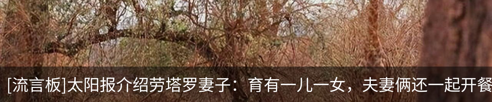 内页banner